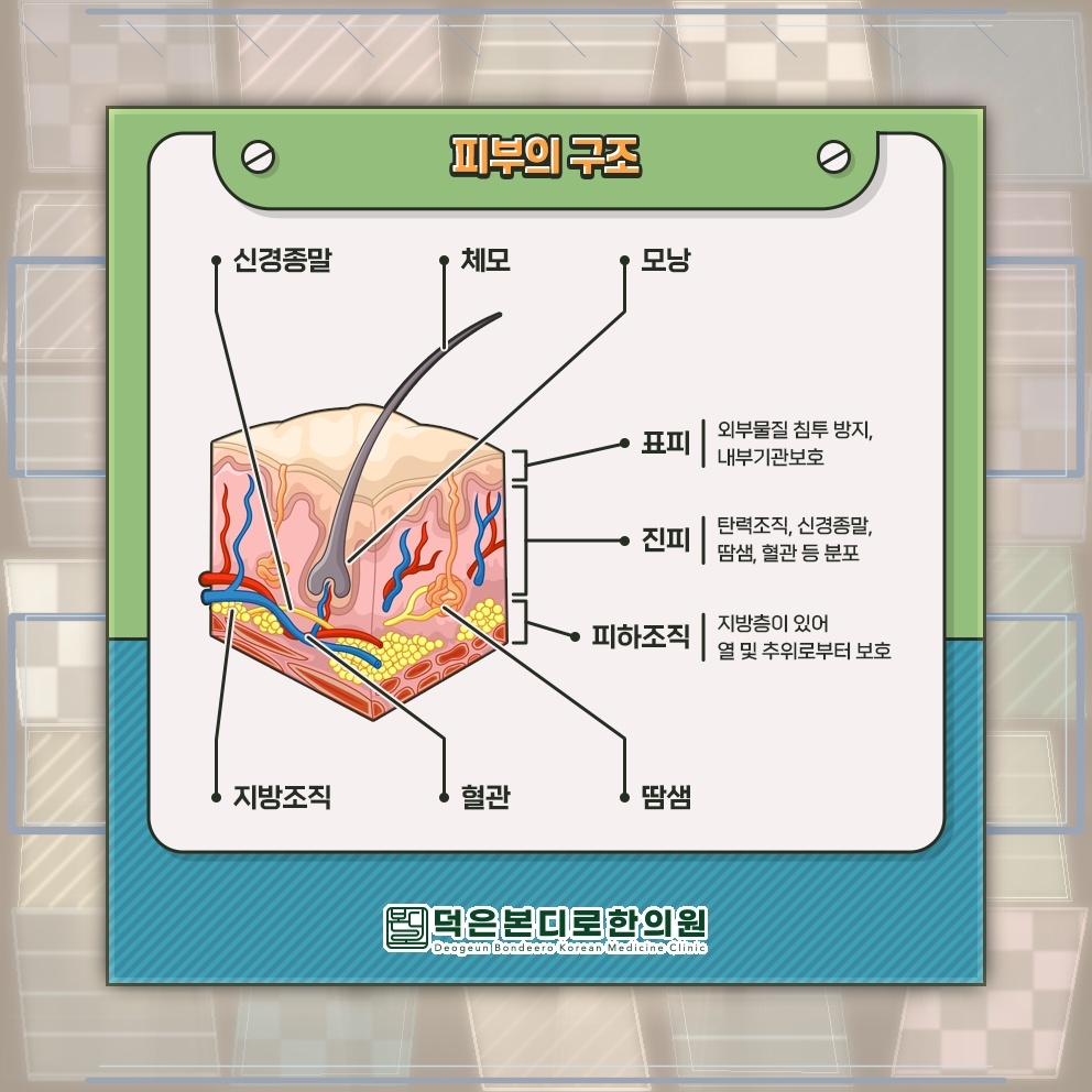 반복되는 두드러기, 증상 양상에 따른 유형 살펴보기