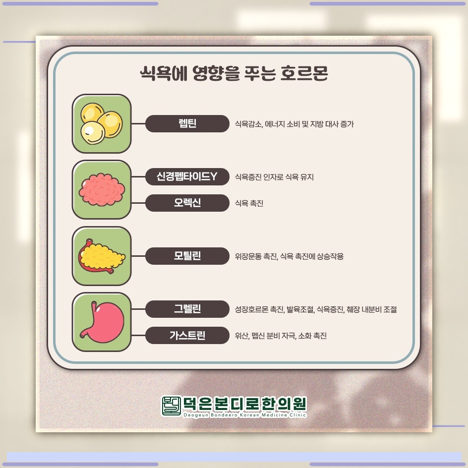 아이의 편식과 식욕부진이 이어질 때 확인할 사항