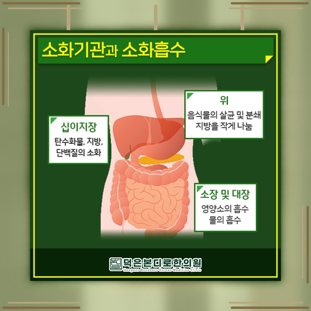 배변 습관과 복부 불편이 반복되는 과민성대장증후군 관리법