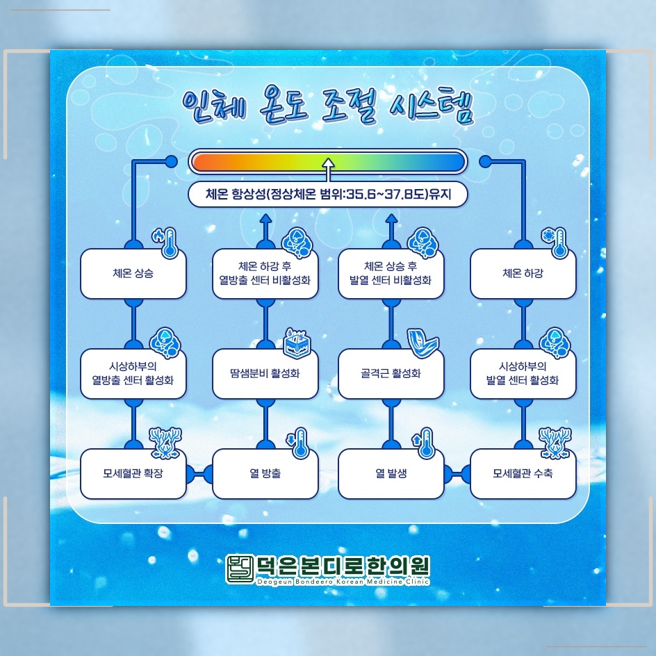 손발 냉감이 계속된다면 수족냉증을 건강 문제로 살펴보기