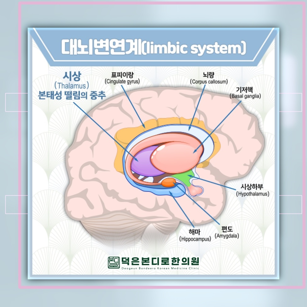 본태성떨림에서 관찰되는 떨림의 양상과 변화